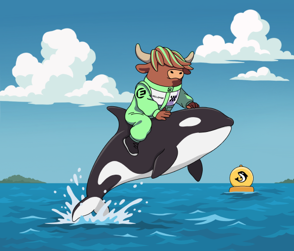 Orca